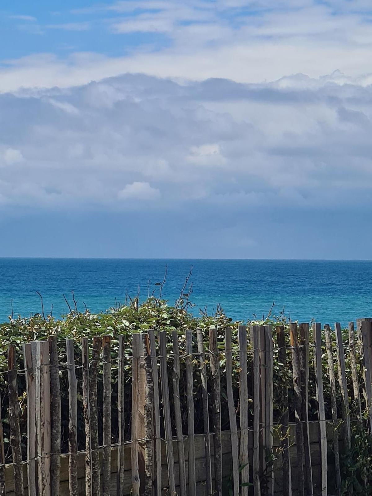 Apartment A 50m De La Biscarrosse